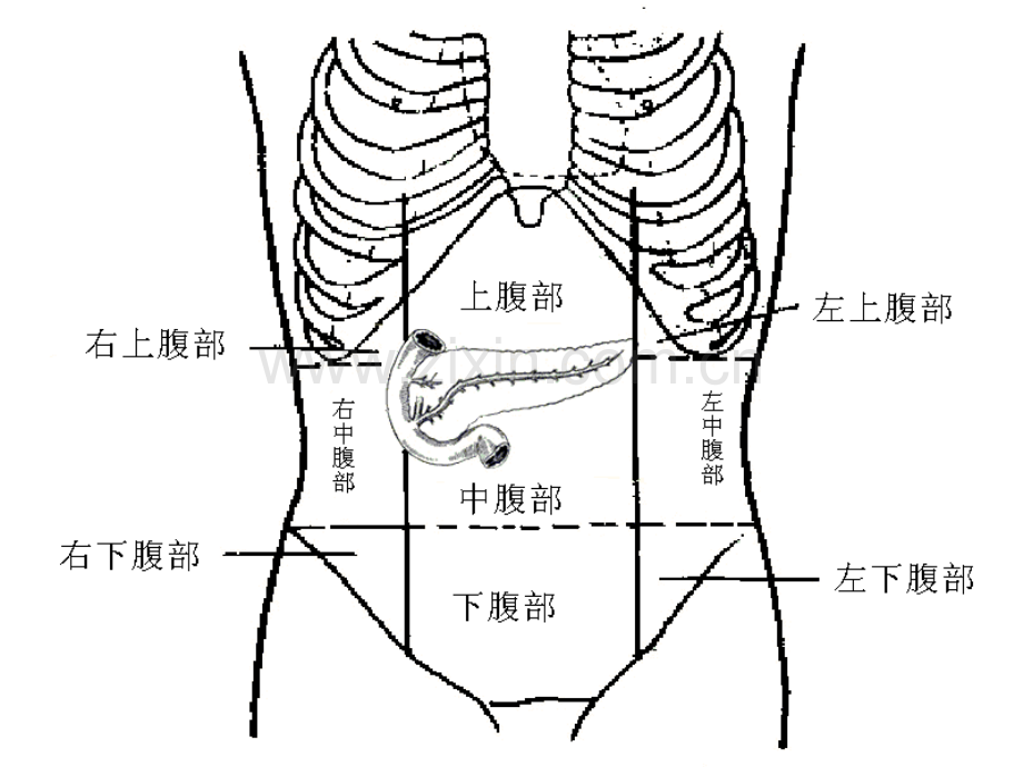 急性胰腺炎2016-内科学八版.ppt_第3页