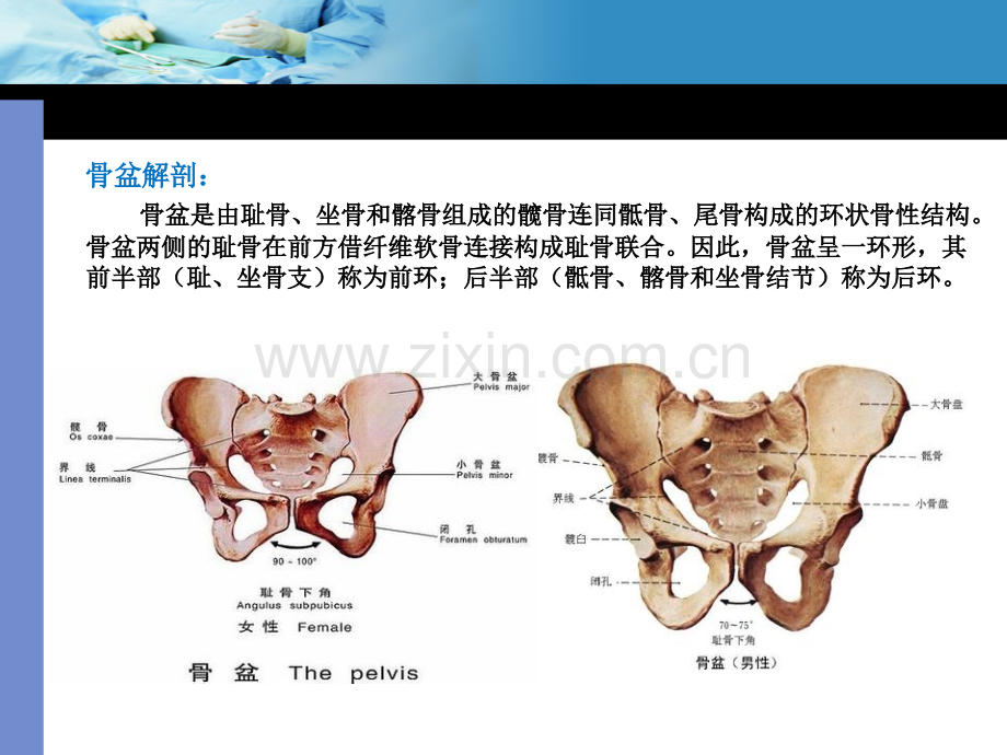 《人体损伤程度鉴定标准》释义(骨科学部分).ppt_第3页