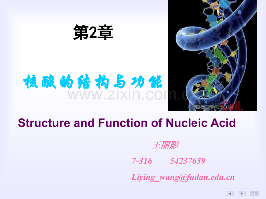 生物化学-第02章-核酸的结构与功能-2012.ppt_第1页