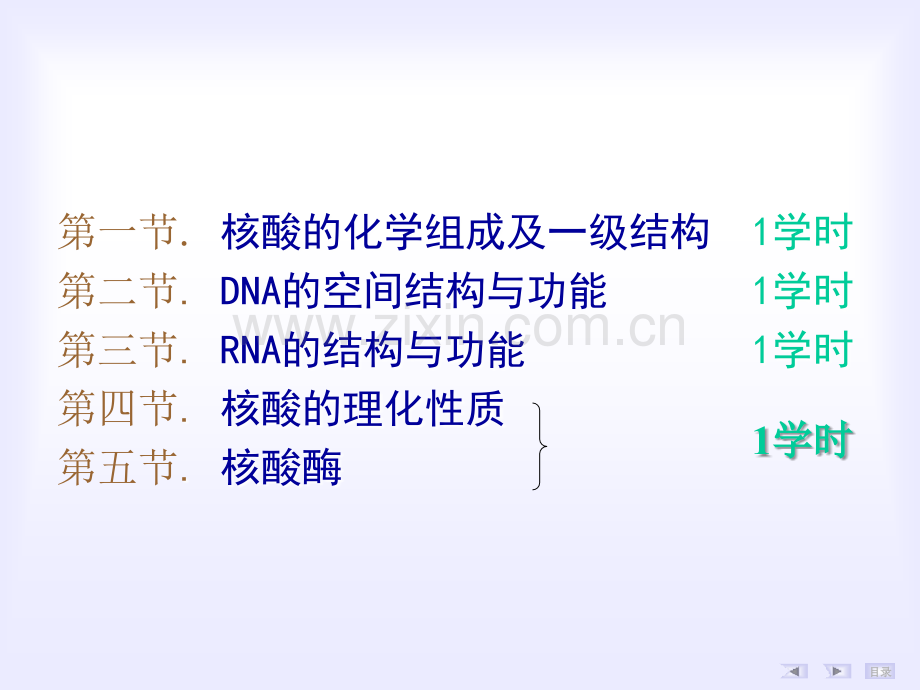 生物化学-第02章-核酸的结构与功能-2012.ppt_第2页