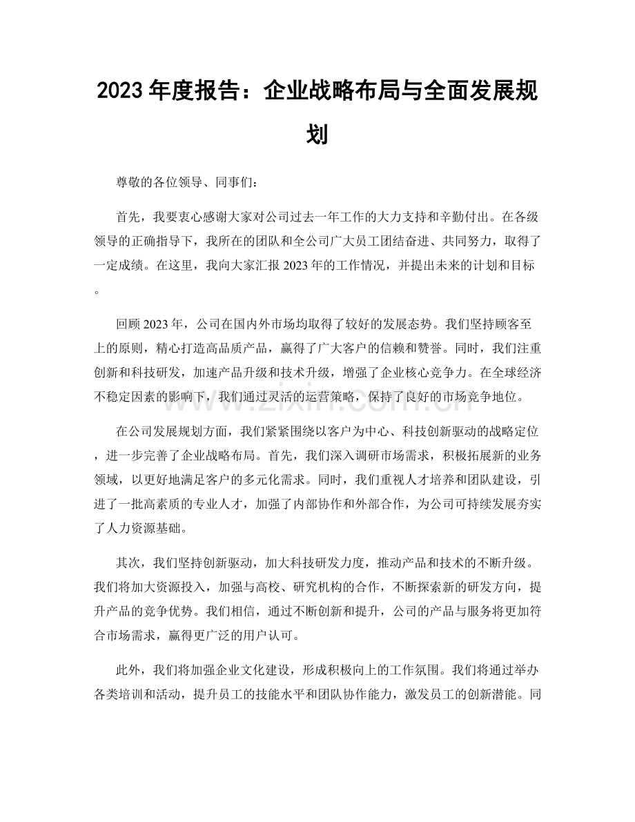 2023年度报告：企业战略布局与全面发展规划.docx_第1页