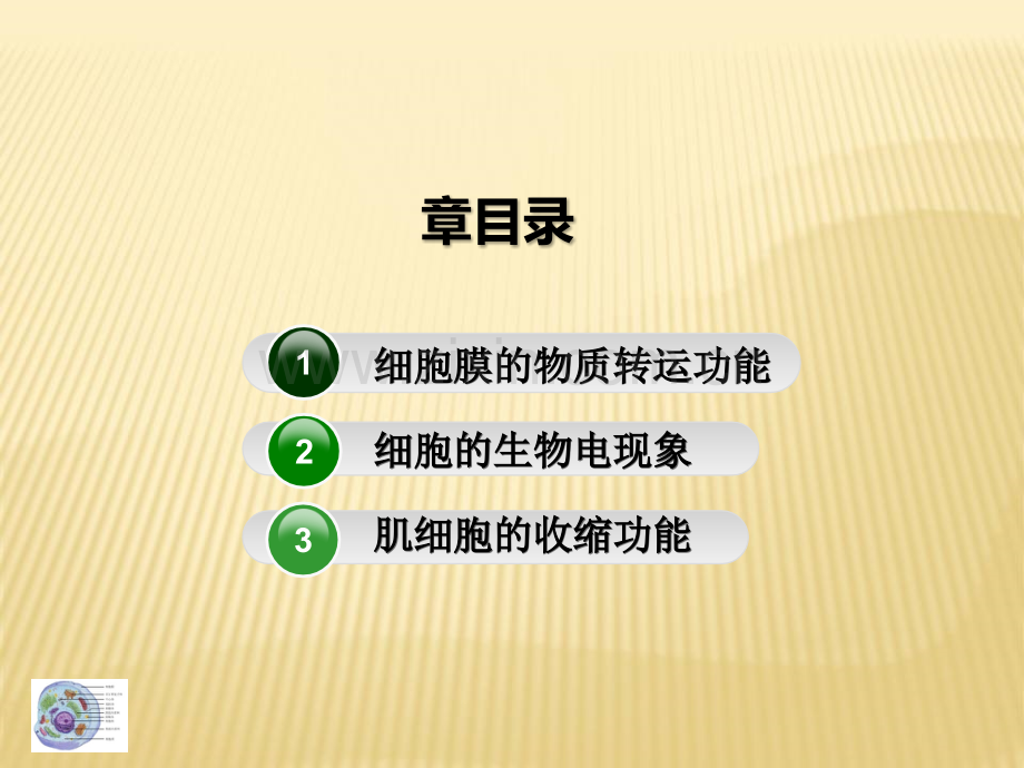 生理学-第二章-细胞的基本功能.ppt_第2页