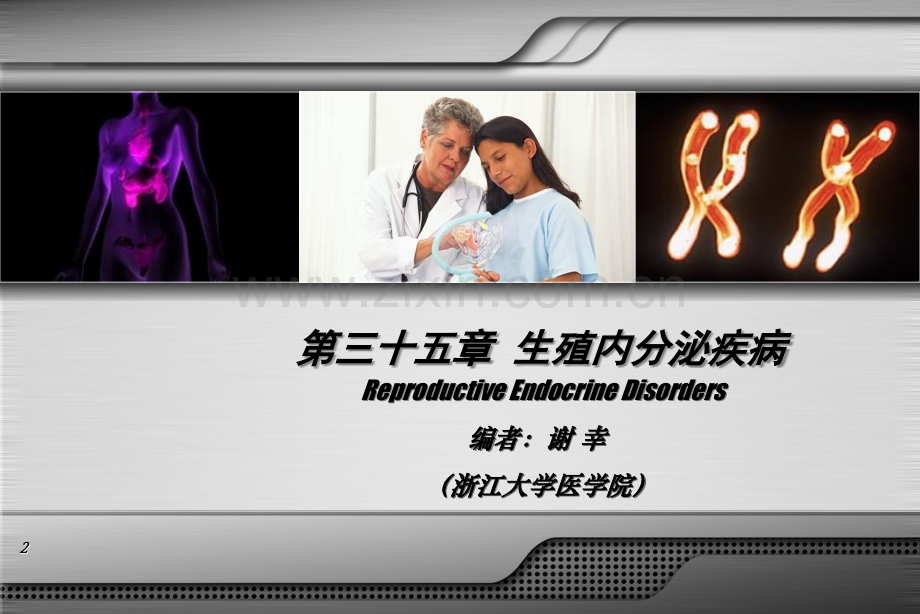 生殖内分泌疾病.ppt_第2页