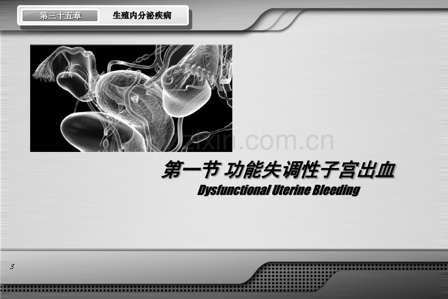 生殖内分泌疾病.ppt_第3页