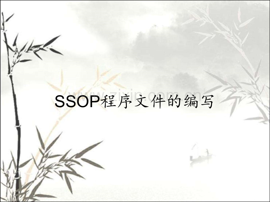 SSOP程序文件的编写.pptx_第1页