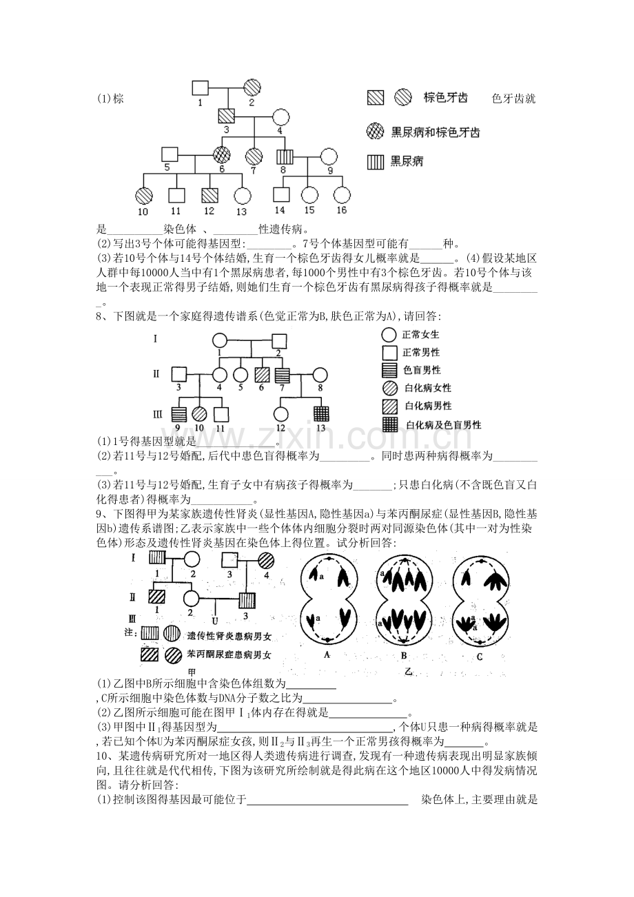 高中生物必修二遗传系谱图专题.doc_第2页