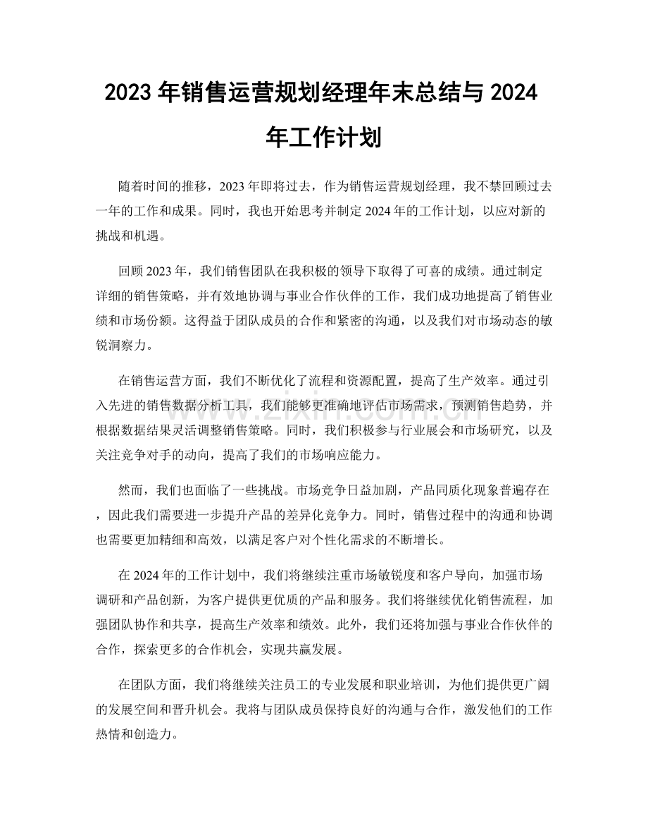 2023年销售运营规划经理年末总结与2024年工作计划.docx_第1页