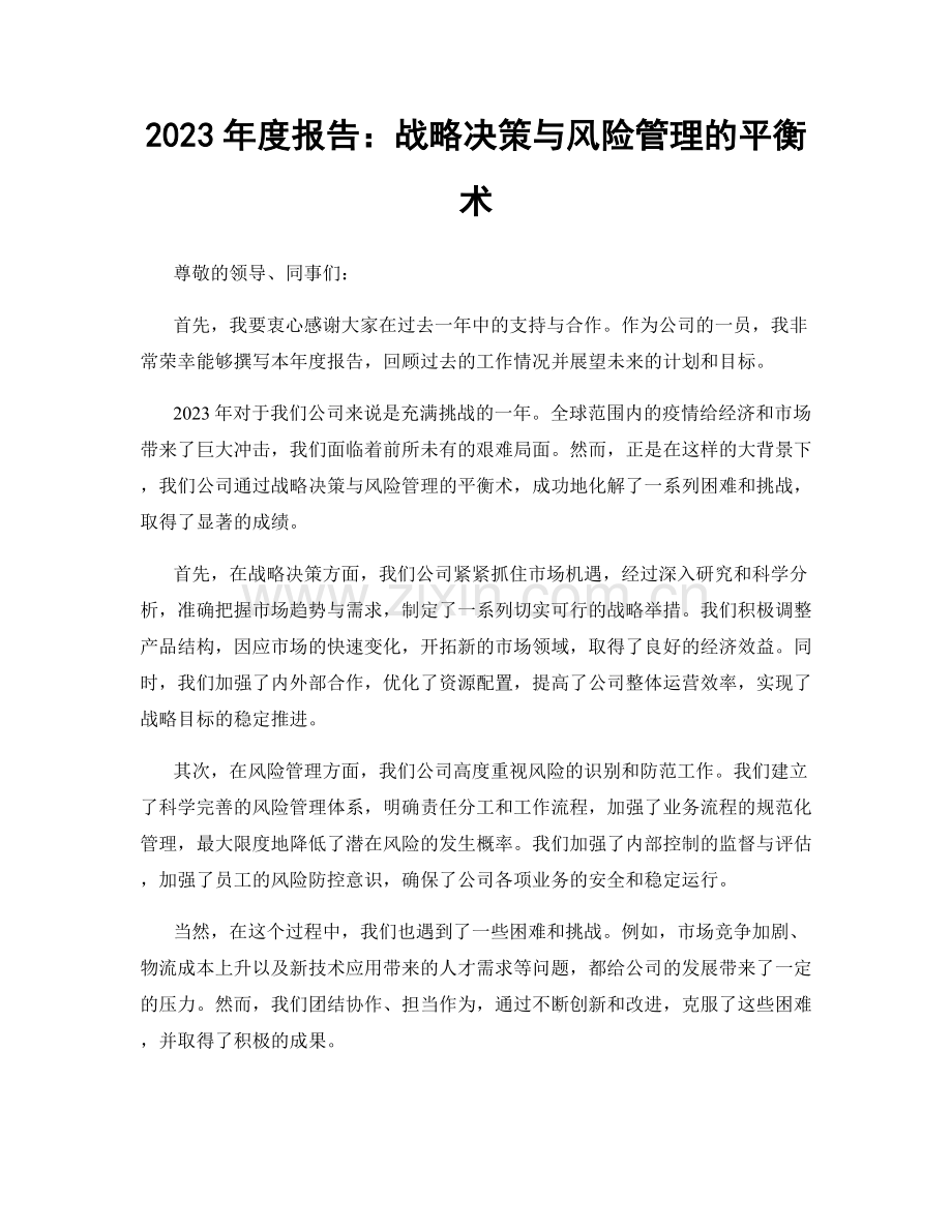 2023年度报告：战略决策与风险管理的平衡术.docx_第1页