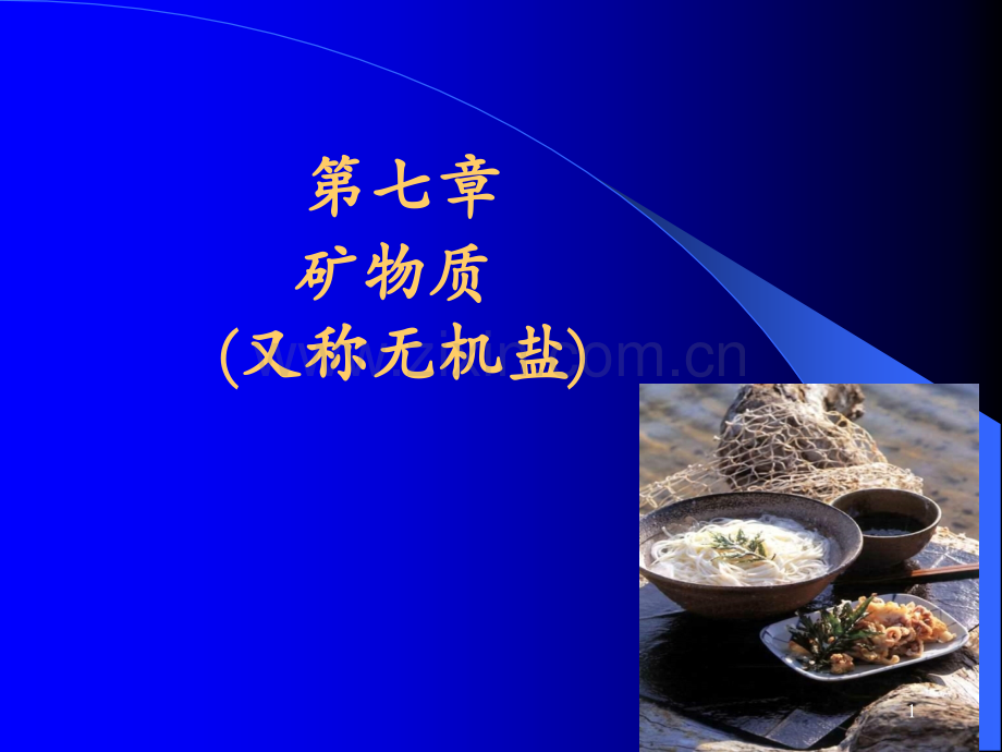 生理功能.ppt_第1页