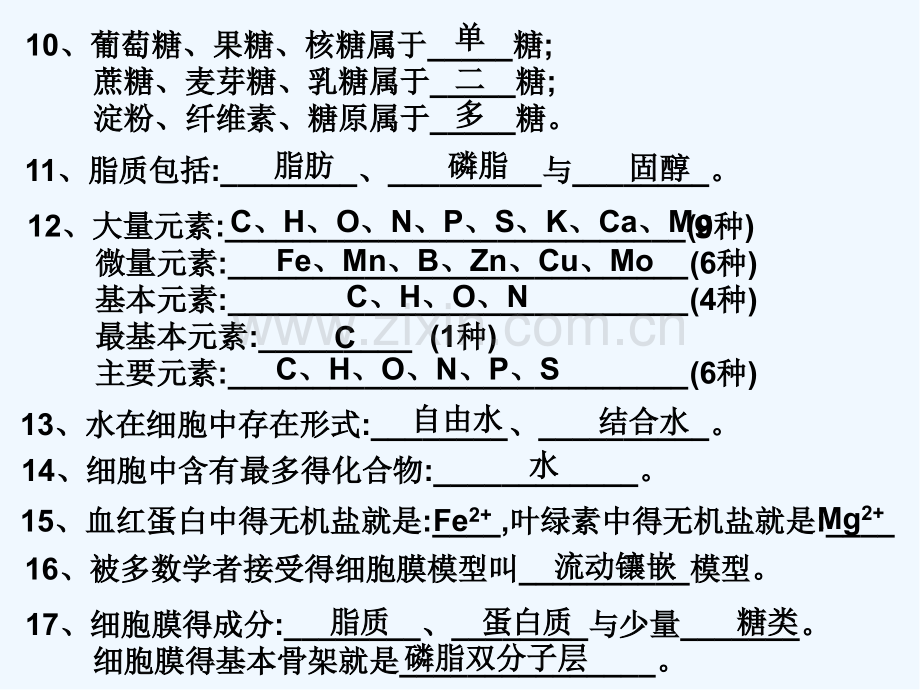 高中生物必修知识点PPT.pptx_第3页