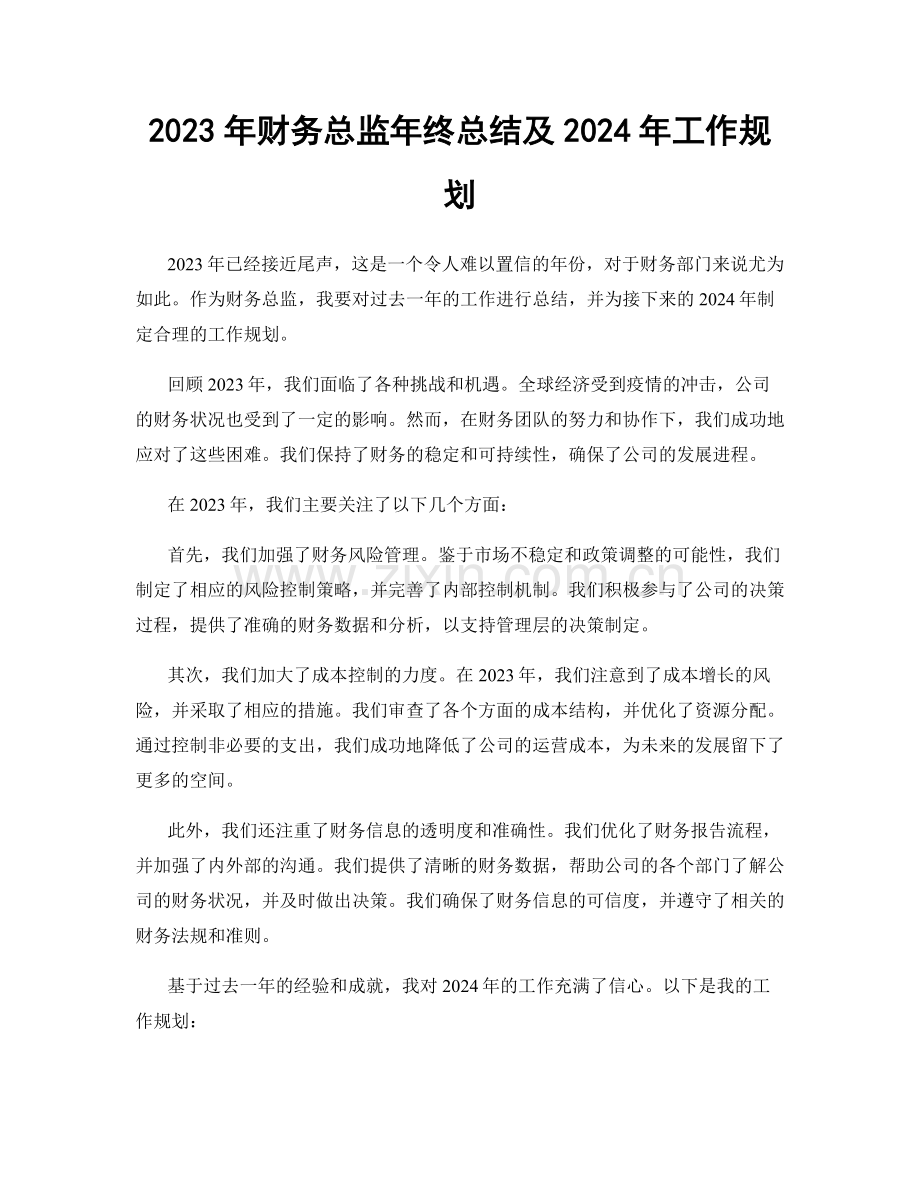 2023年财务总监年终总结及2024年工作规划.docx_第1页