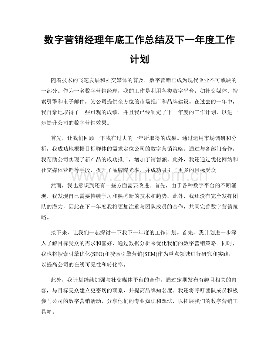 数字营销经理年底工作总结及下一年度工作计划.docx_第1页