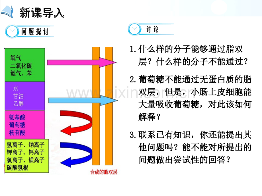 《物质跨膜运输的方式》(含动画-优质课、公开课用)必修1高中生物课件PPT-第四章第三节.pptx_第2页