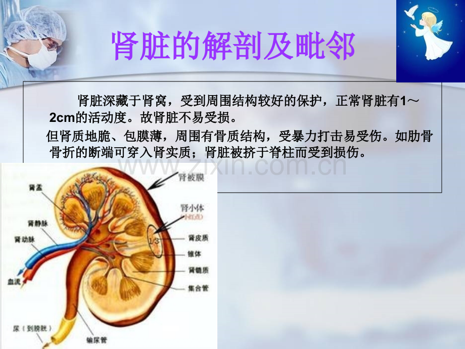 肾损伤病人的护理.ppt.ppt_第3页