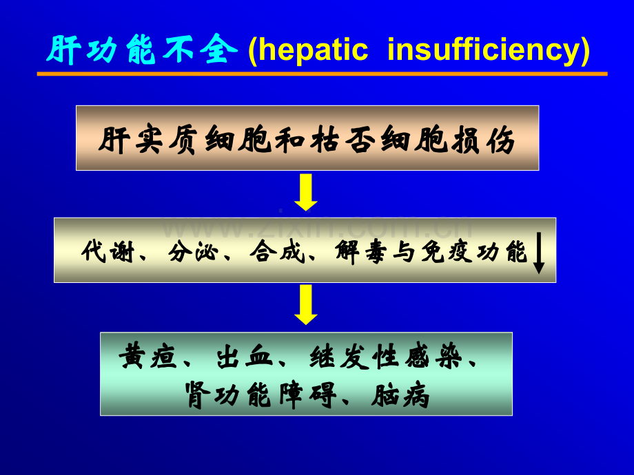 北京大学医学部病理生理教研室.ppt_第2页