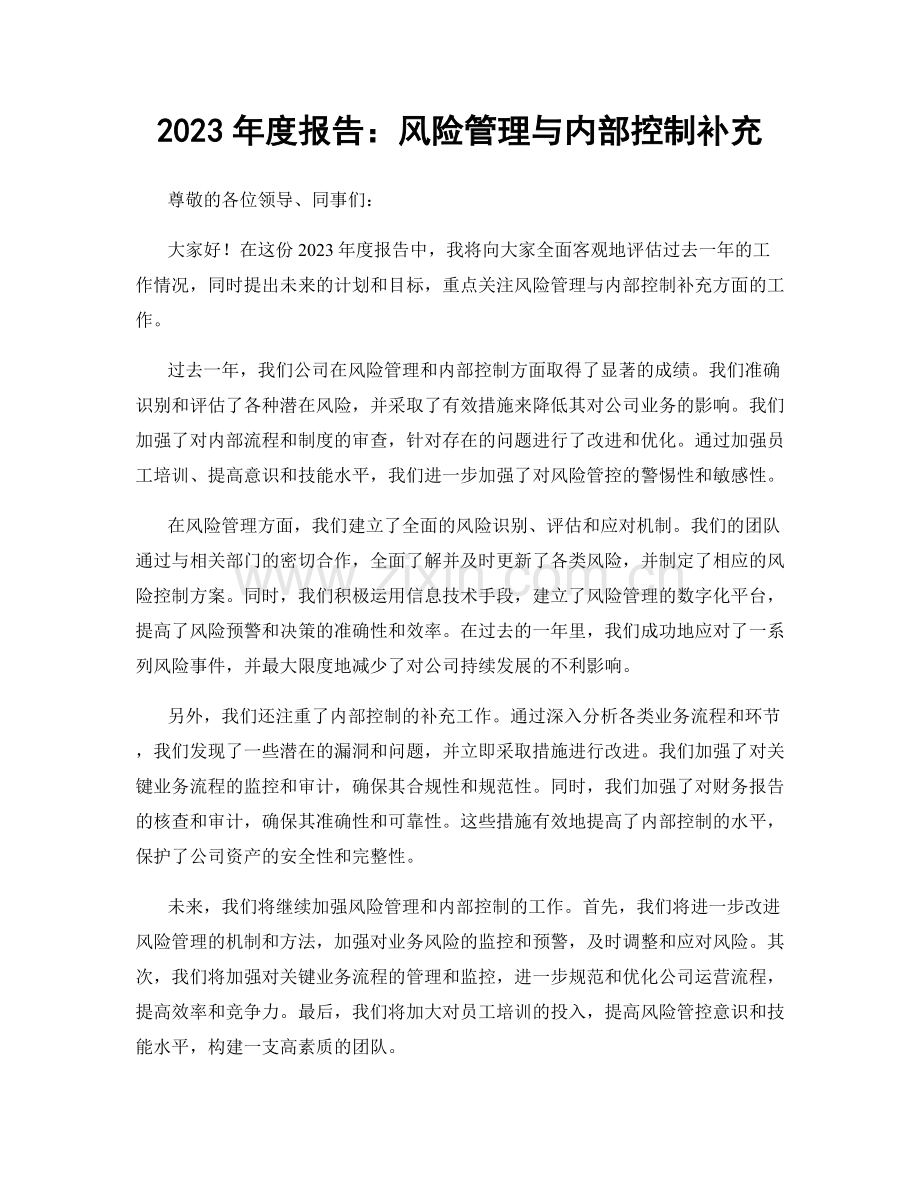 2023年度报告：风险管理与内部控制补充.docx_第1页