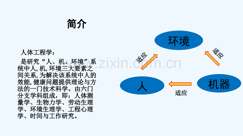 人体工程学在室内设计中的应用-PPT.ppt_第2页