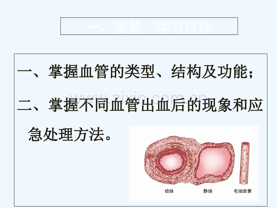 心脏的结构及工作原理.ppt_第1页