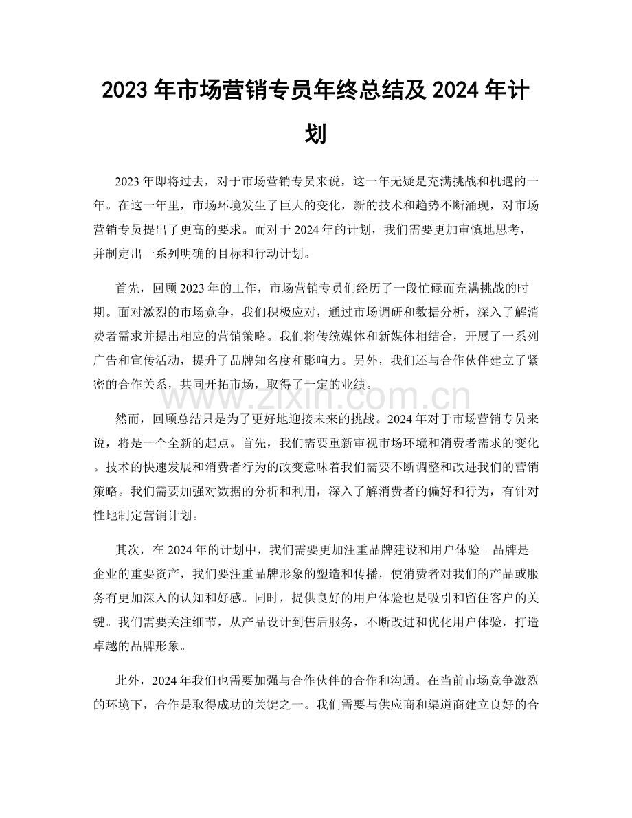 2023年市场营销专员年终总结及2024年计划.docx_第1页