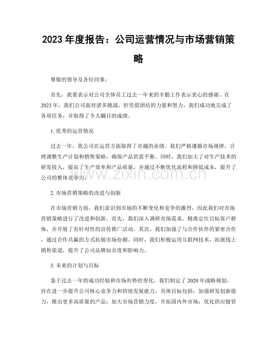 2023年度报告：公司运营情况与市场营销策略.docx_第1页