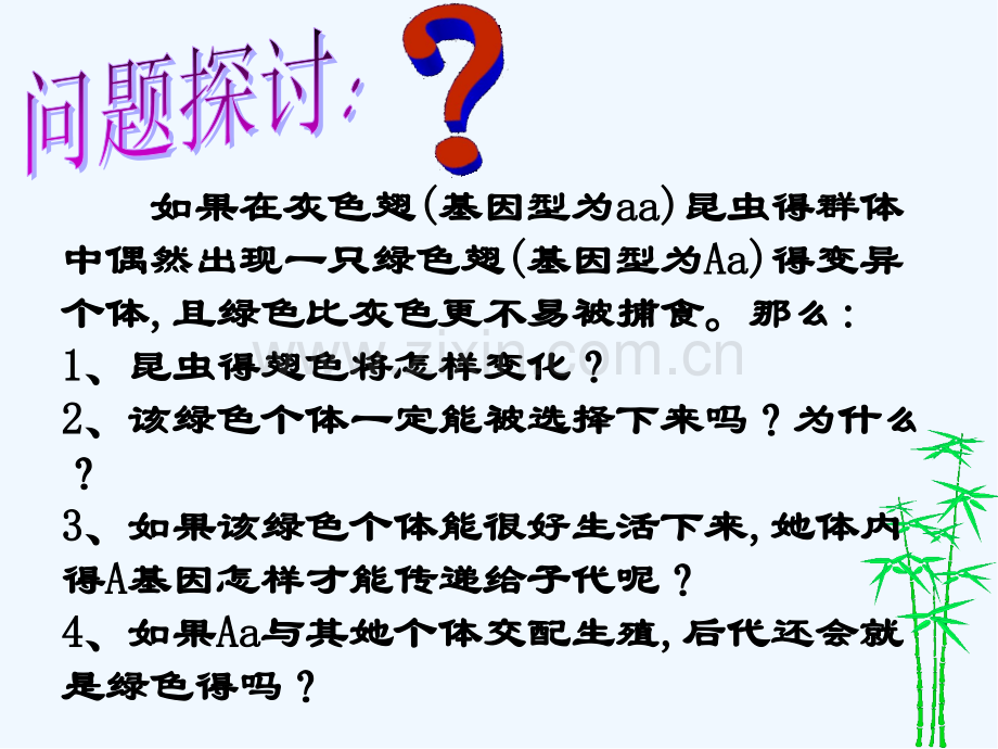 第七章第二节现代生物进化理论的主要内容文科.pptx_第2页