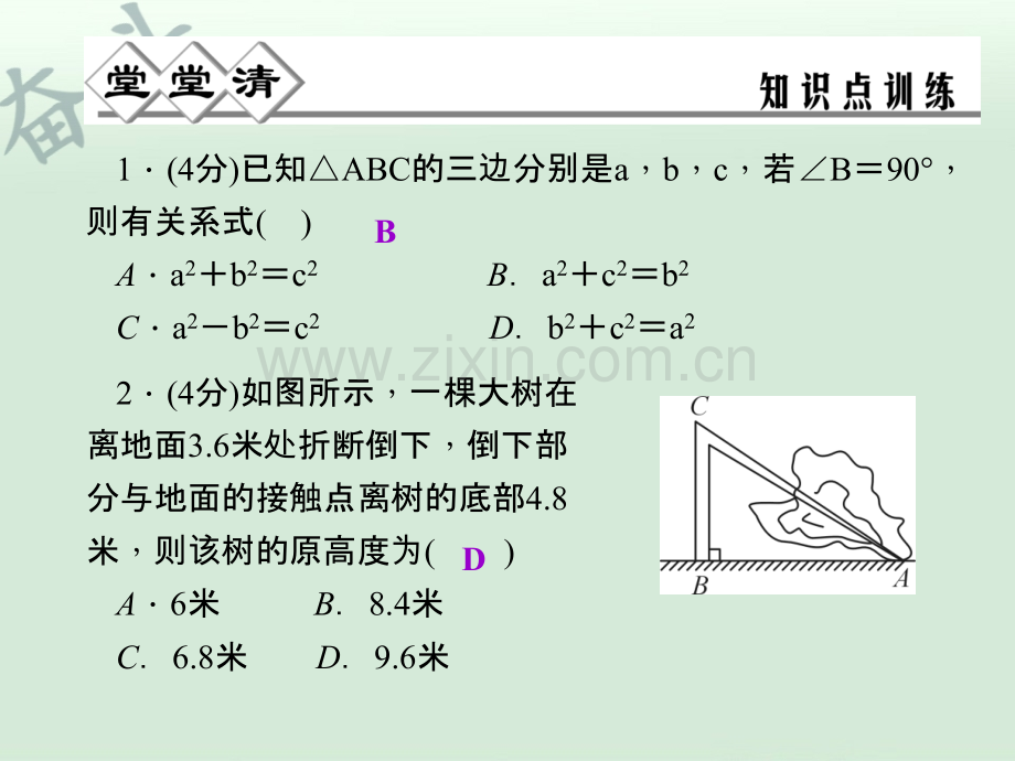 八年级数学上册-2.7-探索勾股定理(第1课时)课件-(新版)浙教版.ppt_第3页