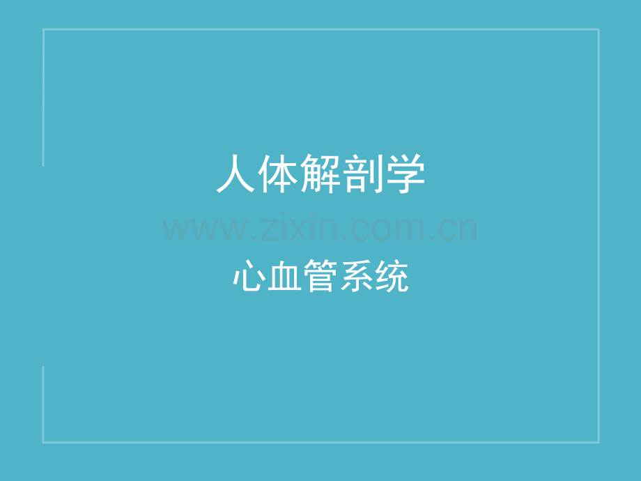 心血管系统.ppt_第1页