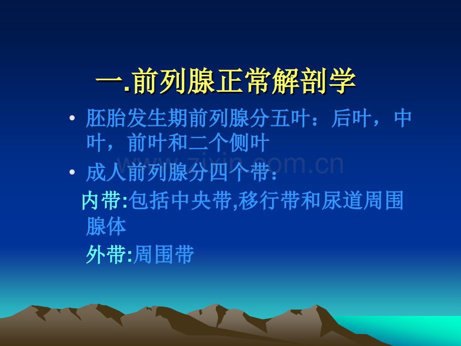 前列腺讲课.ppt_第2页