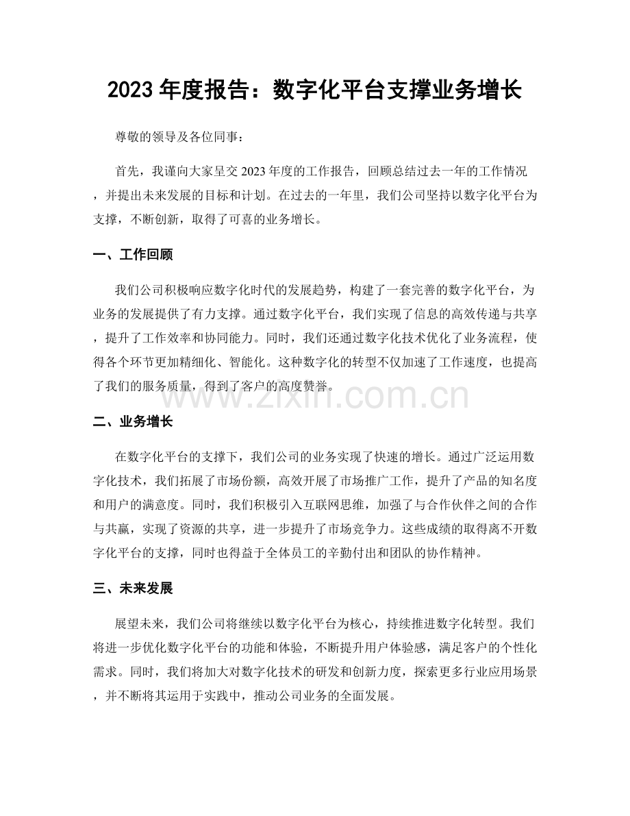 2023年度报告：数字化平台支撑业务增长.docx_第1页