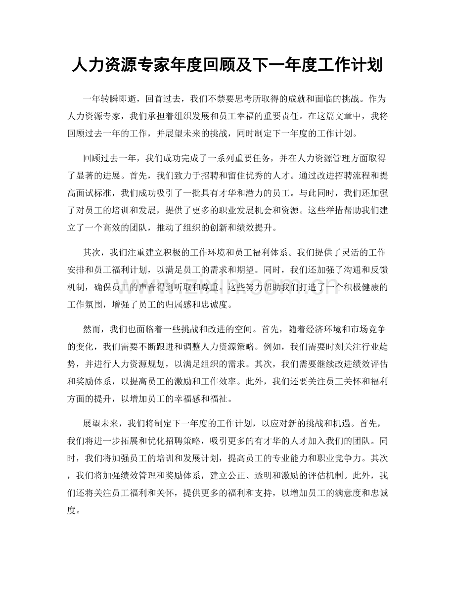 人力资源专家年度回顾及下一年度工作计划.docx_第1页