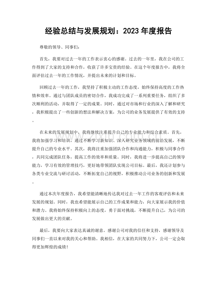 经验总结与发展规划：2023年度报告.docx_第1页