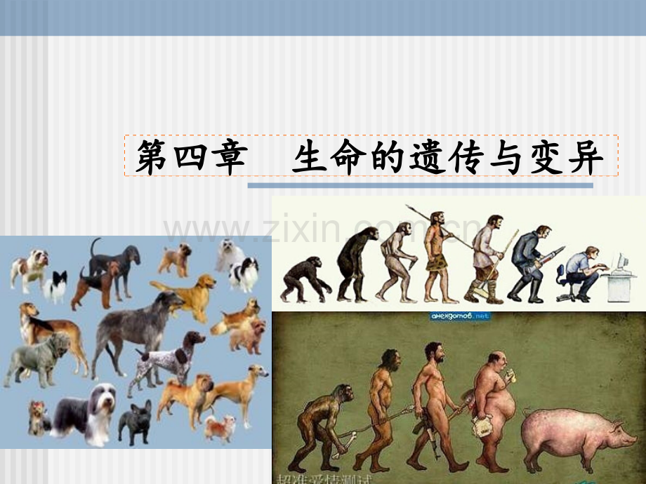 《医学生物学教学资料》4生命的遗传与变异.ppt_第1页