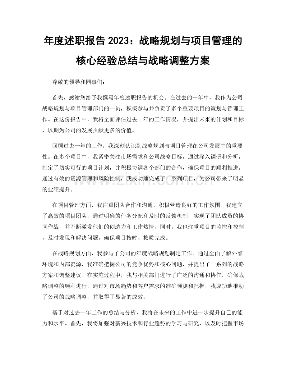 年度述职报告2023：战略规划与项目管理的核心经验总结与战略调整方案.docx_第1页