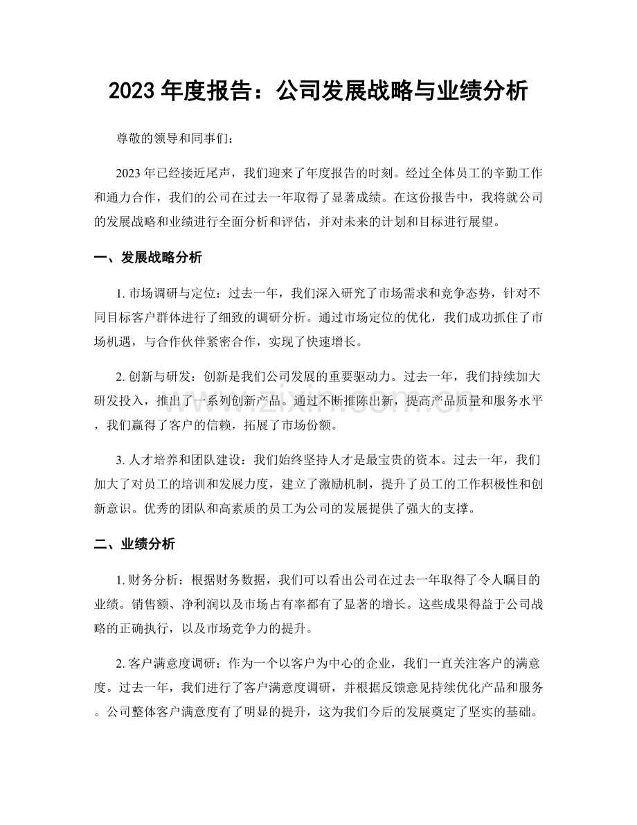 2023年度报告：公司发展战略与业绩分析.docx_第1页