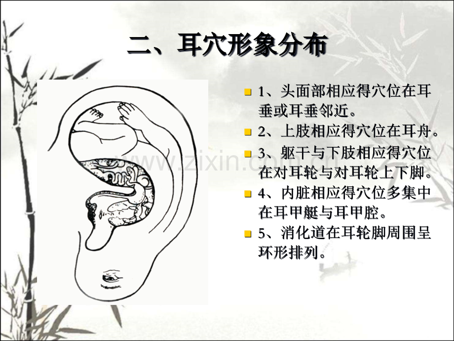 耳穴压豆课件-PPT.pptx_第3页