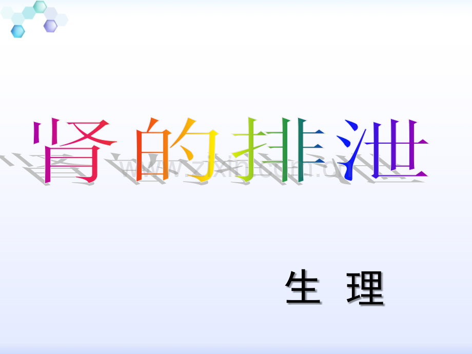 生理泌尿系统.ppt_第1页