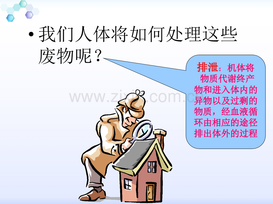 生理泌尿系统.ppt_第3页