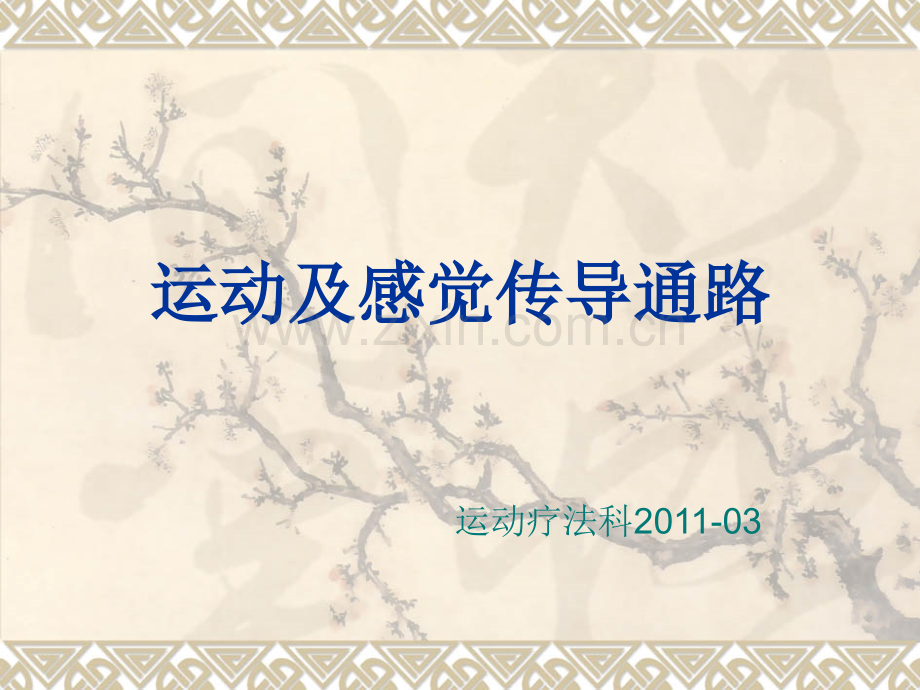 运动及感觉传导通路.ppt_第1页