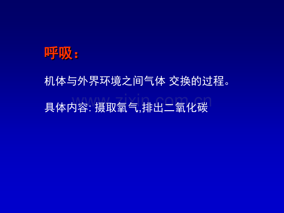 生理学——呼吸.ppt_第2页