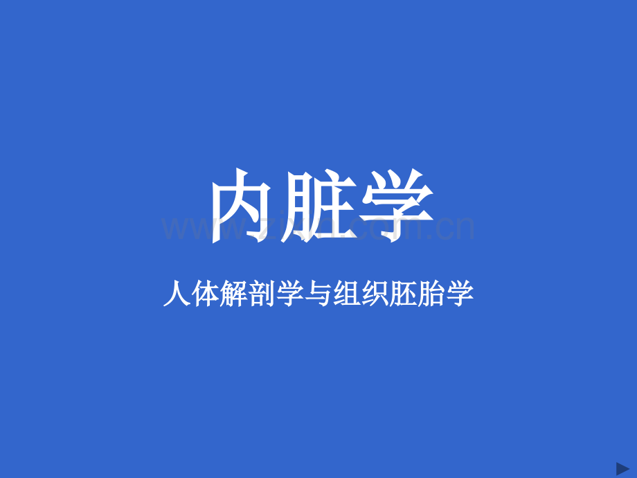 内脏总论及消化系统(系统解剖学).ppt_第1页