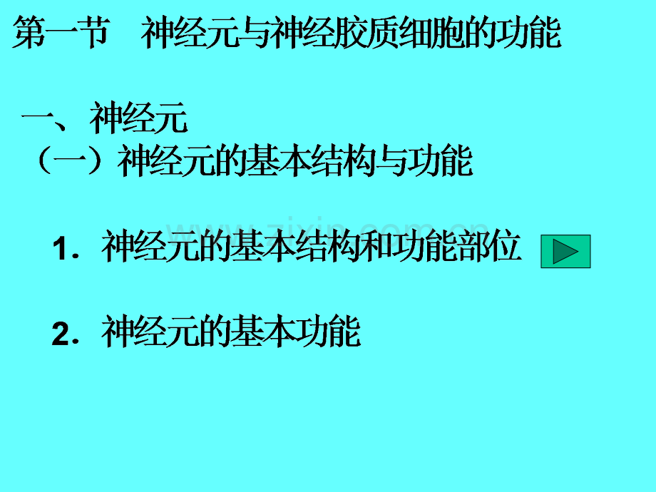 生理学神经系统PPT.ppt_第1页