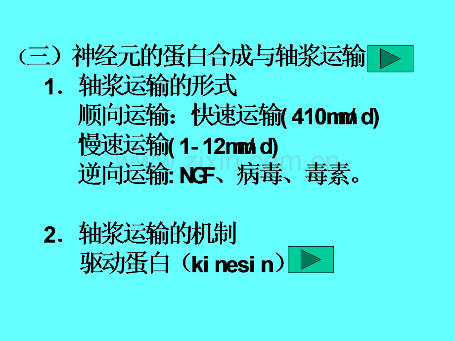 生理学神经系统PPT.ppt_第3页