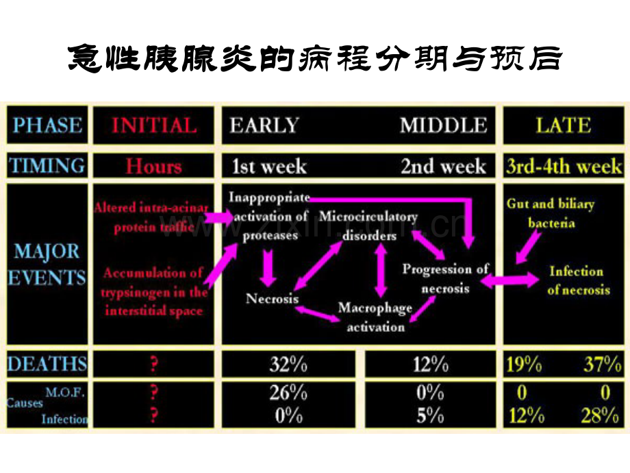 急性胰腺炎早期肠内营养-1知识.ppt_第3页