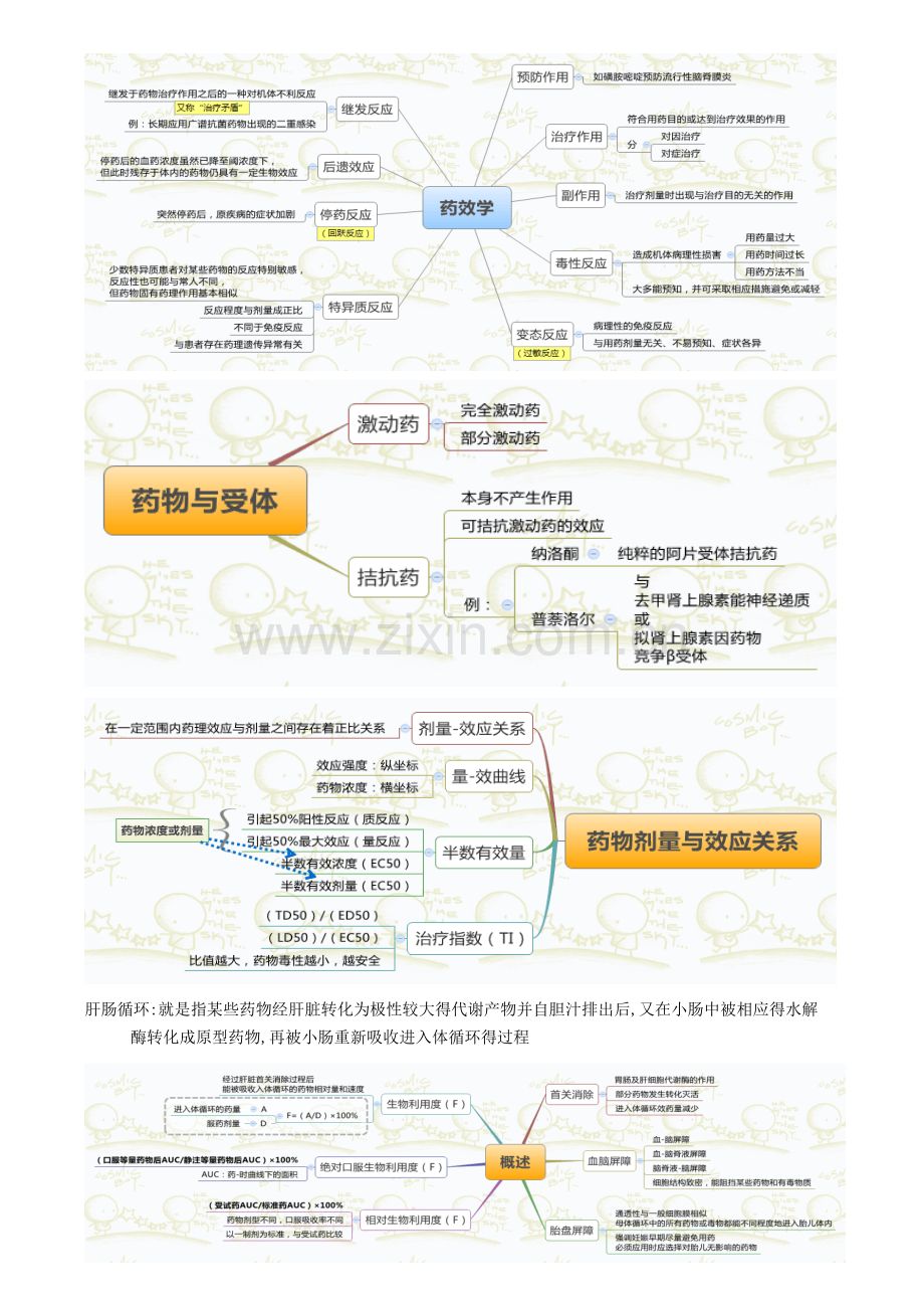 药理所有知识点结构图.doc_第2页