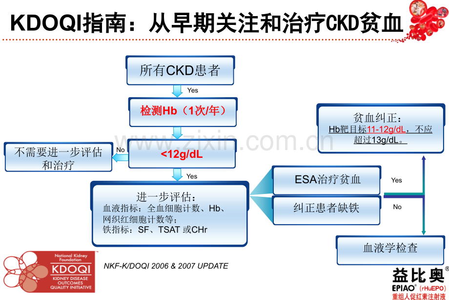 肾性贫血管理策略.ppt_第3页