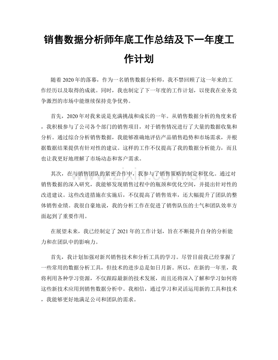 销售数据分析师年底工作总结及下一年度工作计划.docx_第1页