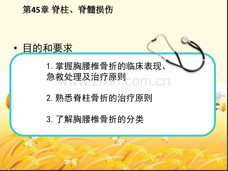 《外科学》脊柱、脊髓损伤.ppt_第3页