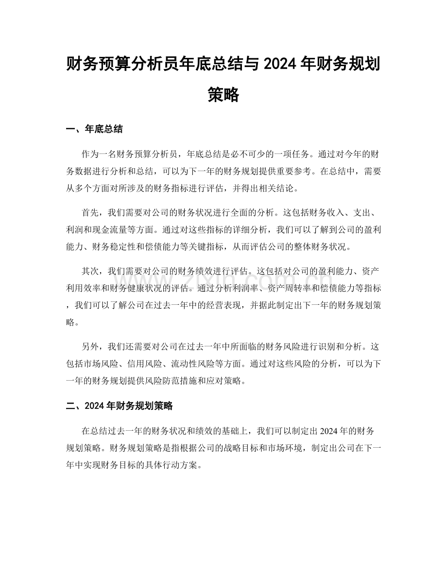 财务预算分析员年底总结与2024年财务规划策略.docx_第1页