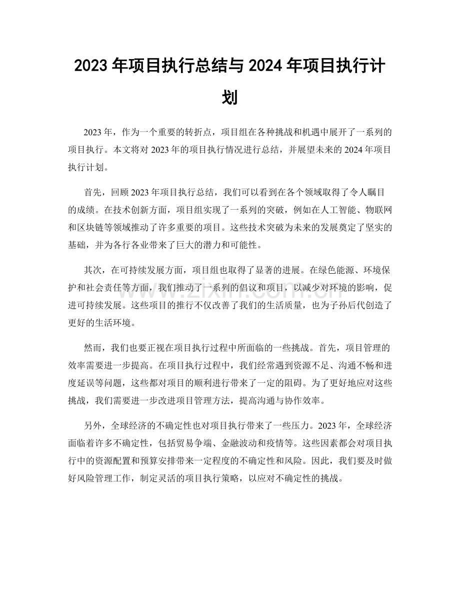 2023年项目执行总结与2024年项目执行计划.docx_第1页