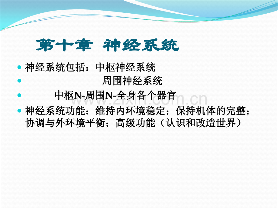 生理学基础第十章-神经系统.ppt_第1页